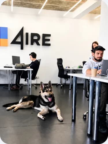 The 4IRE office, with the team dog on the floor