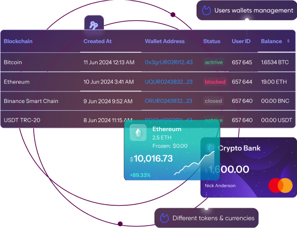 https://4irelabs.com/wp-content/uploads/2024/07/Custodial-solution.png